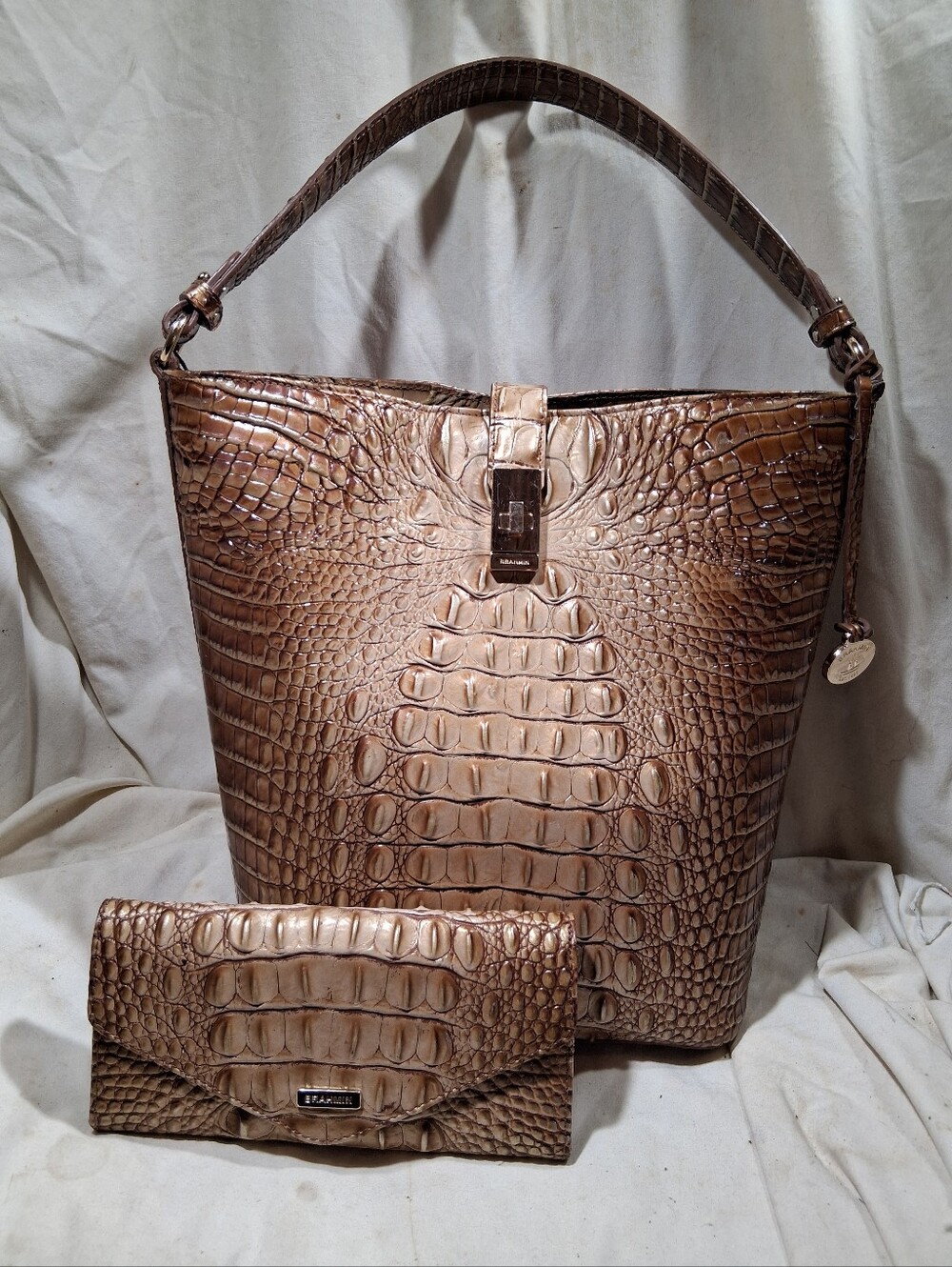 Brahmin all leather set